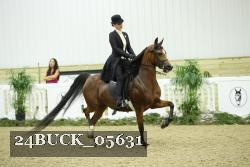 24BUCK_05631 thumbnail
