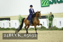 24BUCK_05632 thumbnail