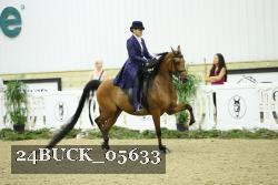 24BUCK_05633 thumbnail
