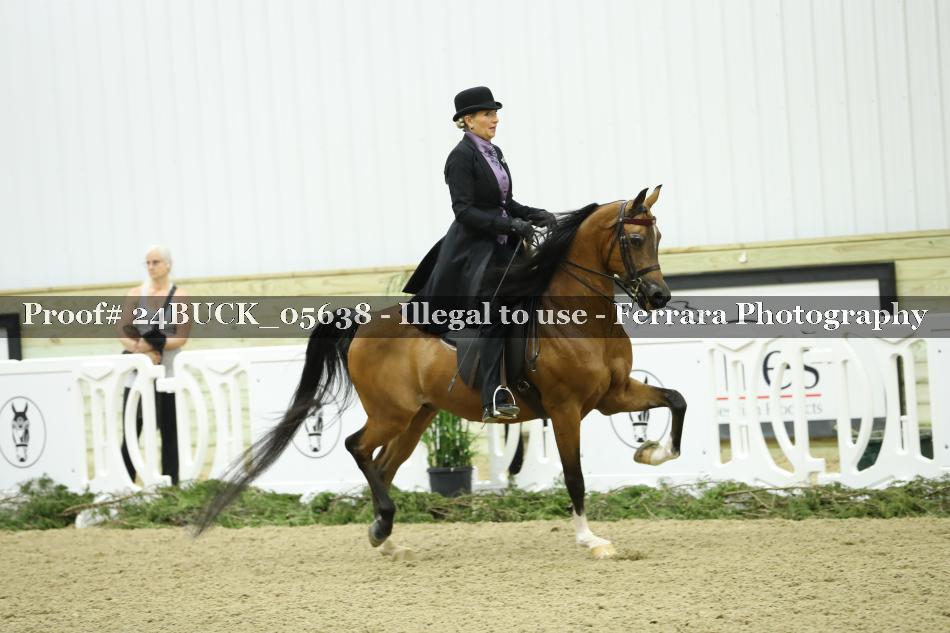 Proof Number 24BUCK_05638