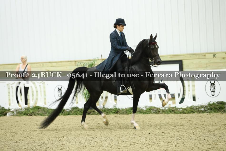 Proof Number 24BUCK_05641