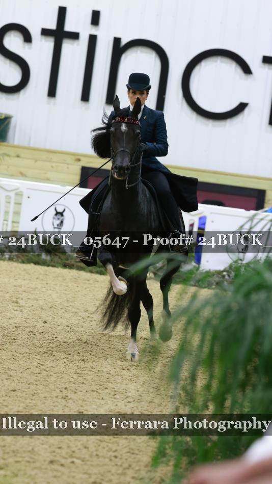 Proof Number 24BUCK_05647