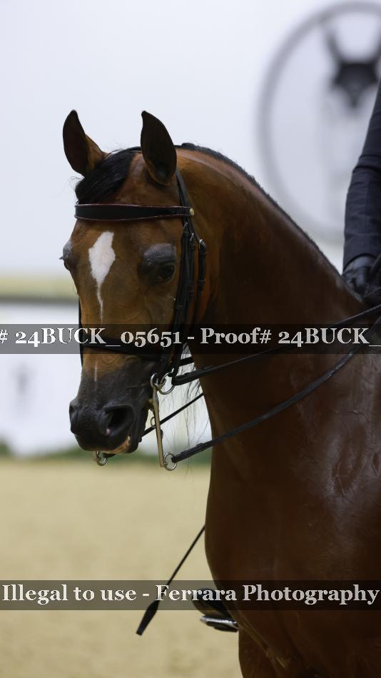 Proof Number 24BUCK_05651