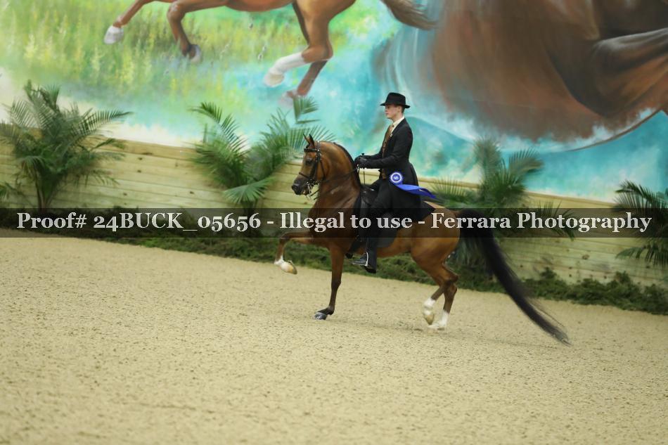 Proof Number 24BUCK_05656
