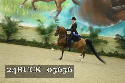 24BUCK_05656 thumbnail