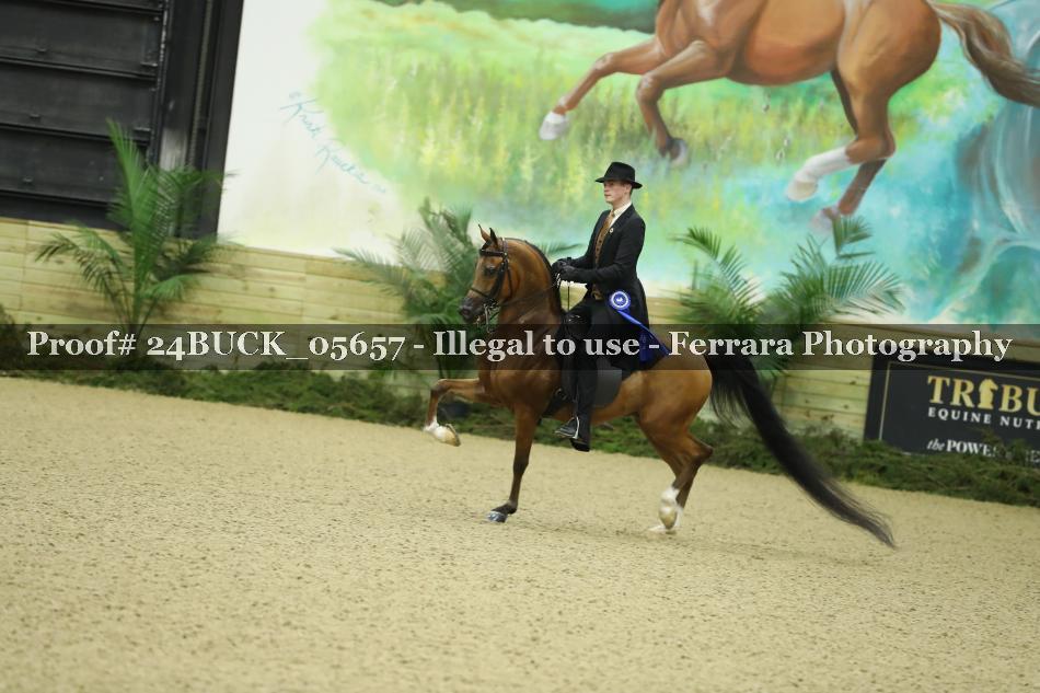 Proof Number 24BUCK_05657