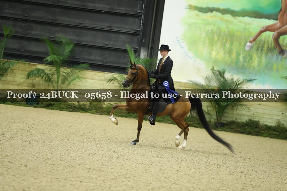 Proof Number 24BUCK_05658