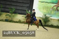 24BUCK_05658 thumbnail