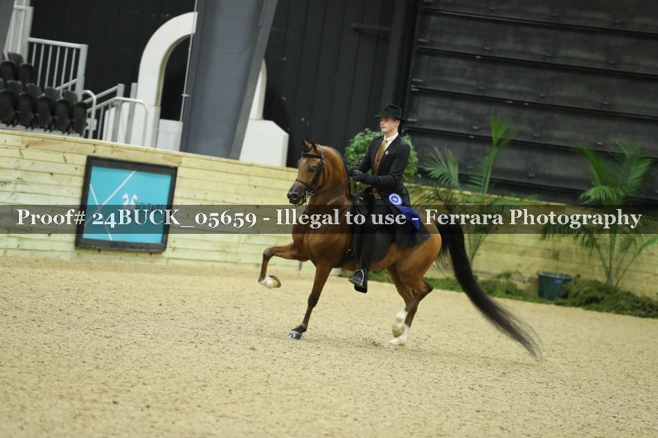 Proof Number 24BUCK_05659