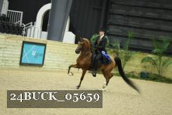24BUCK_05659 thumbnail