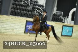 24BUCK_05660 thumbnail