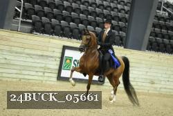 24BUCK_05661 thumbnail