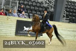 24BUCK_05662 thumbnail