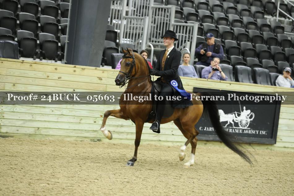 Proof Number 24BUCK_05663