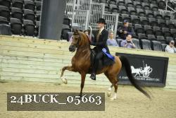 24BUCK_05663 thumbnail
