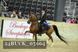 24BUCK_05664 thumbnail
