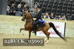 24BUCK_05665 thumbnail