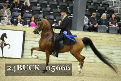 24BUCK_05666 thumbnail