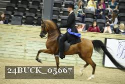 24BUCK_05667 thumbnail