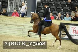24BUCK_05668 thumbnail