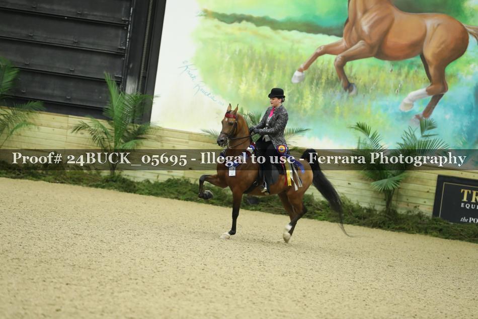 Proof Number 24BUCK_05695