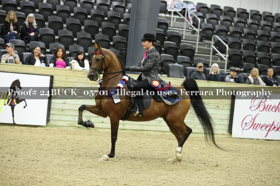 Proof Number 24BUCK_05701
