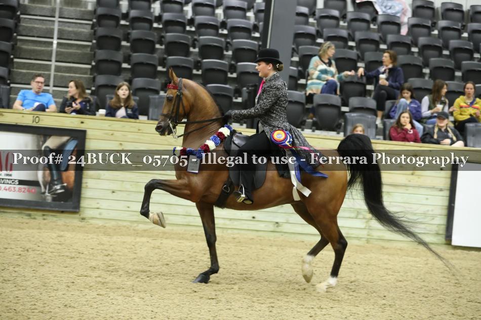 Proof Number 24BUCK_05705