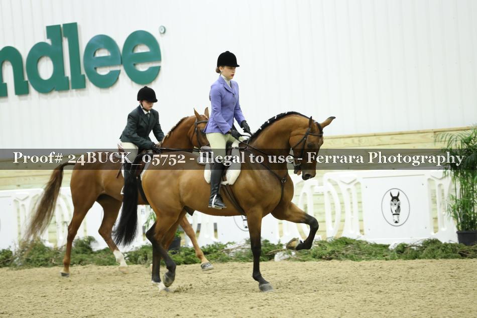 Proof Number 24BUCK_05752