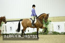 24BUCK_05753 thumbnail