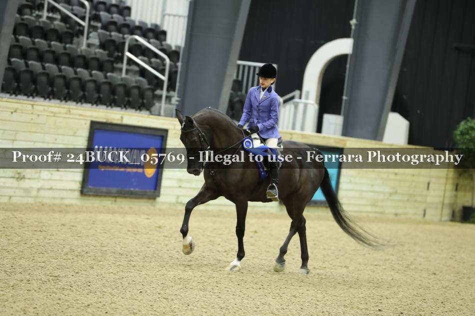 Proof Number 24BUCK_05769