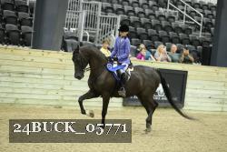 24BUCK_05771 thumbnail