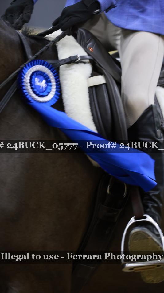 Proof Number 24BUCK_05777