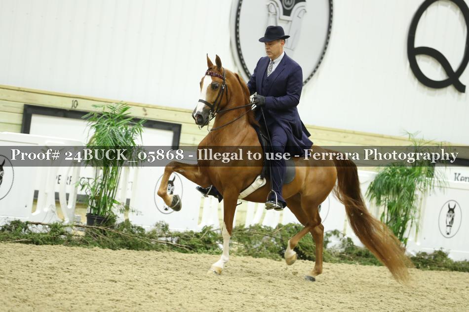 Proof Number 24BUCK_05868