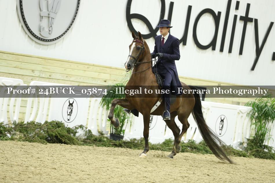 Proof Number 24BUCK_05874