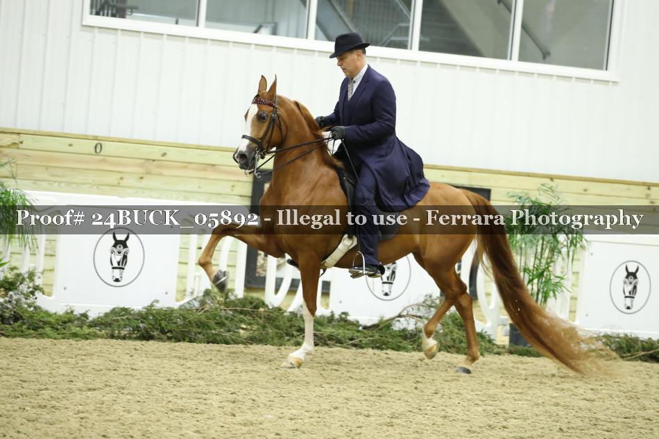 Proof Number 24BUCK_05892