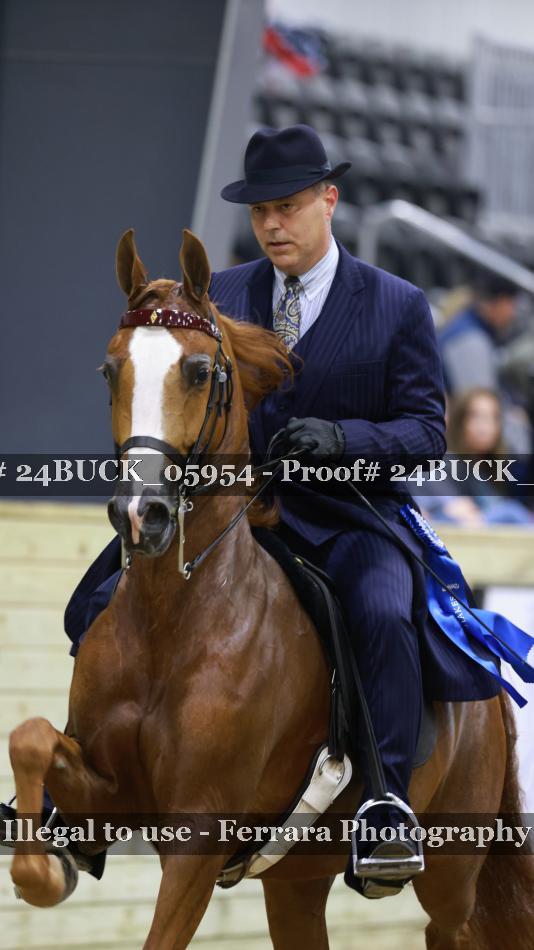 Proof Number 24BUCK_05954
