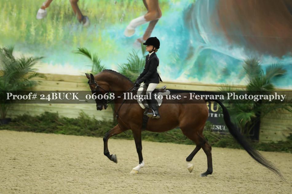 Proof Number 24BUCK_06068