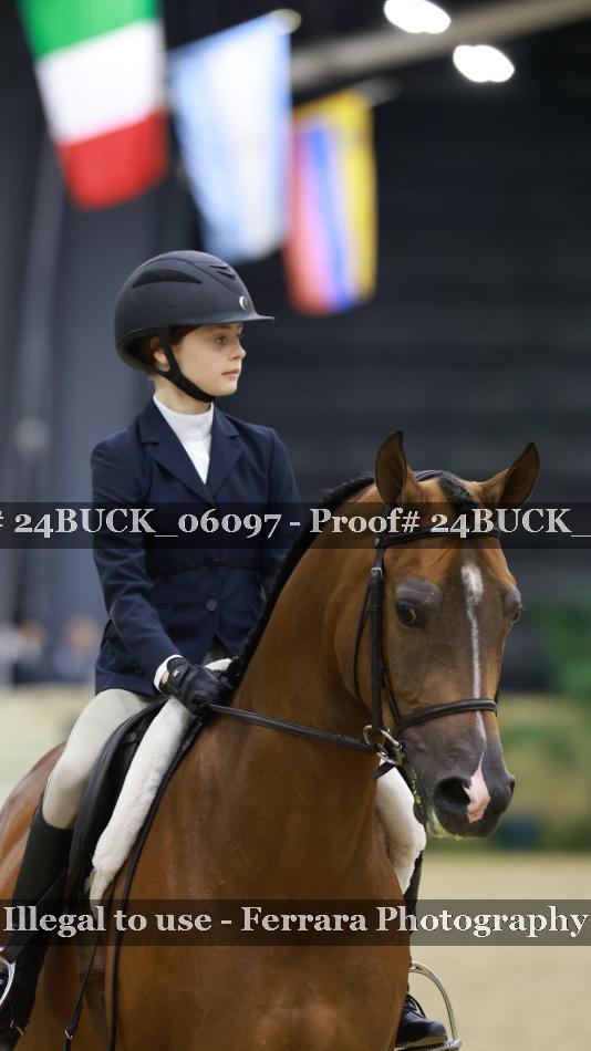 Proof Number 24BUCK_06097