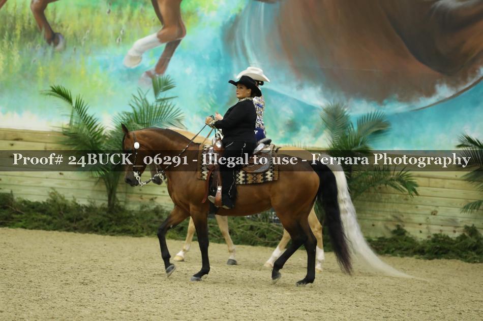 Proof Number 24BUCK_06291