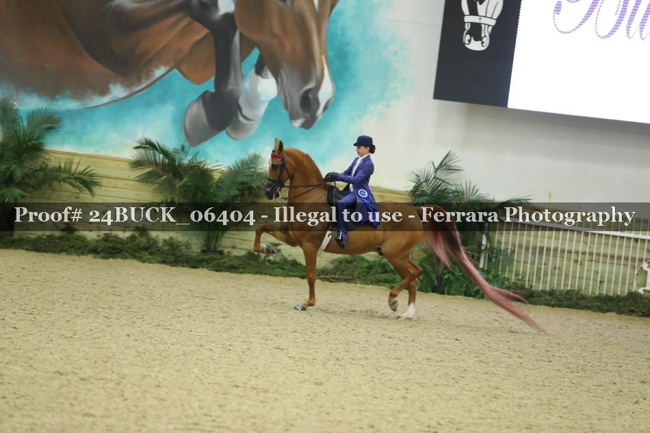 Proof Number 24BUCK_06404