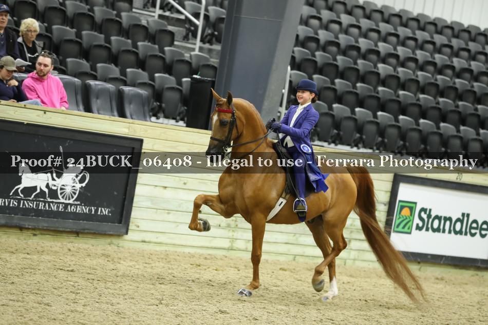 Proof Number 24BUCK_06408