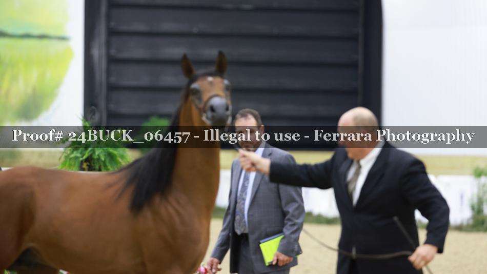Proof Number 24BUCK_06457