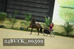 24BUCK_06509 thumbnail