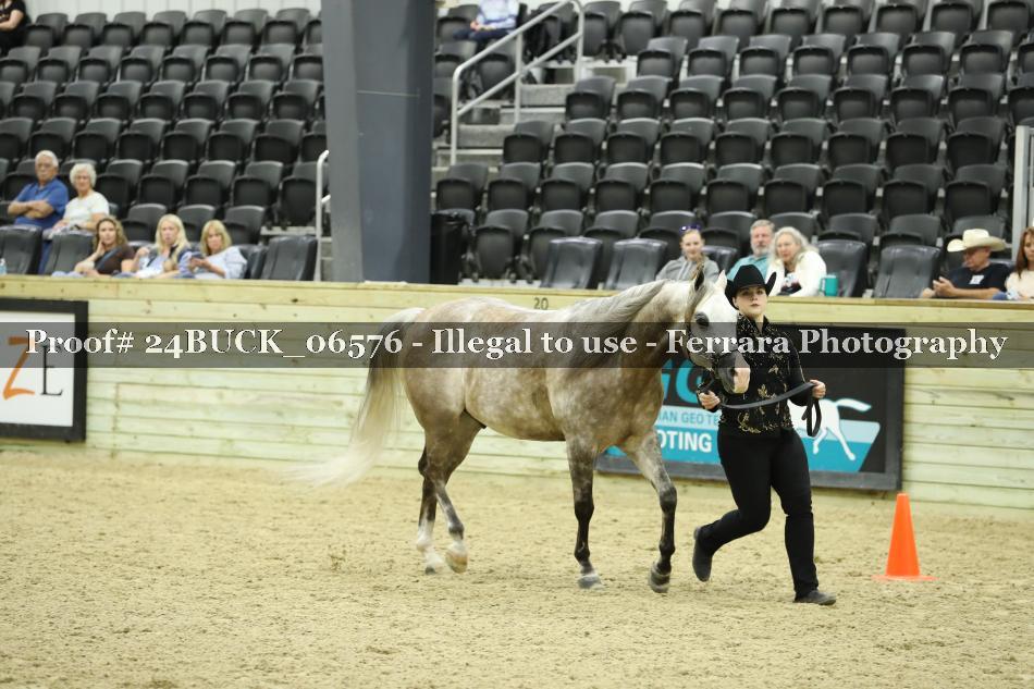 Proof Number 24BUCK_06576