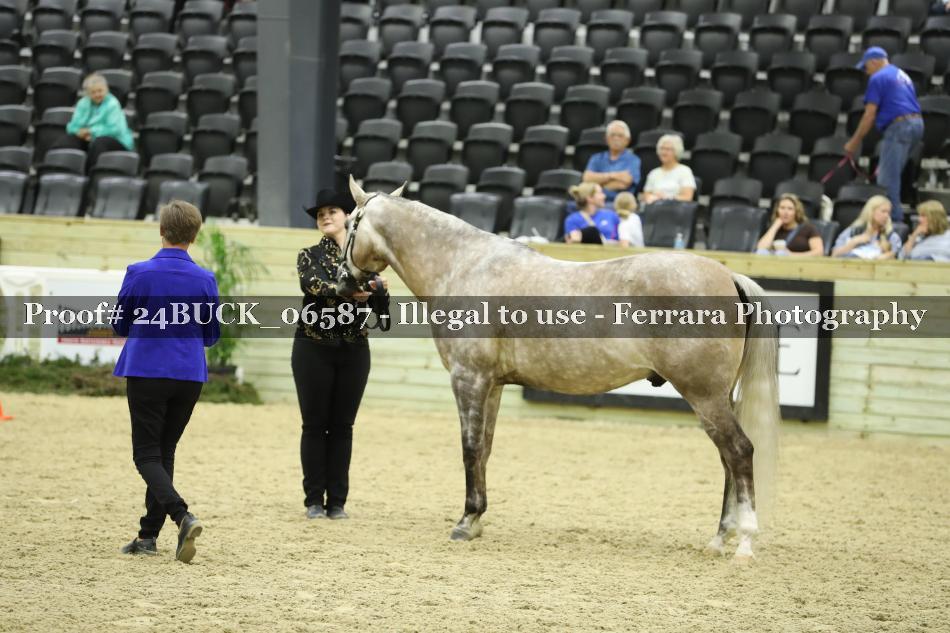 Proof Number 24BUCK_06587
