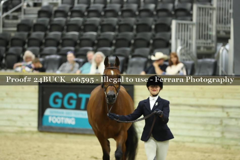 Proof Number 24BUCK_06595