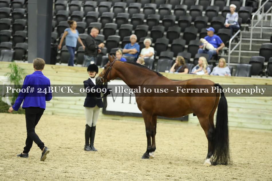 Proof Number 24BUCK_06609