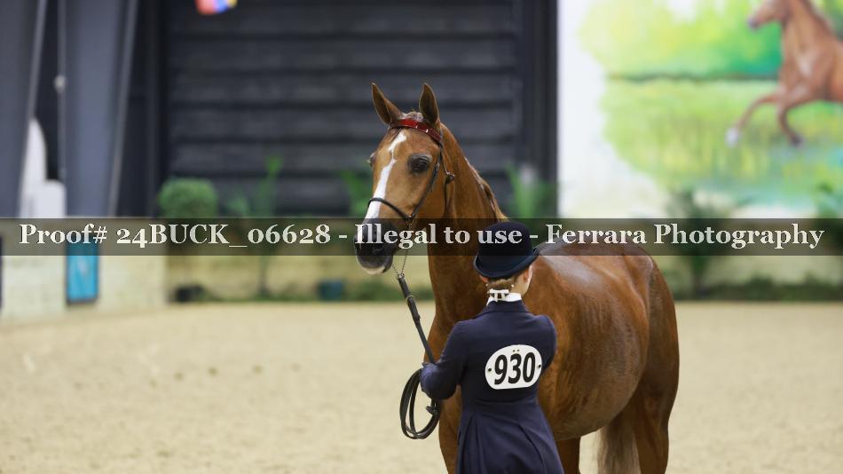 Proof Number 24BUCK_06628