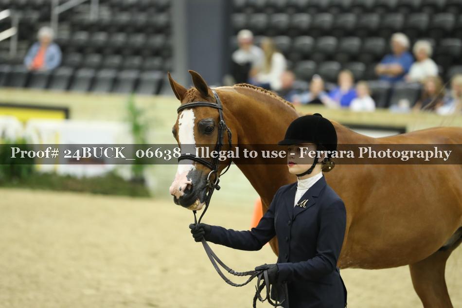 Proof Number 24BUCK_06638