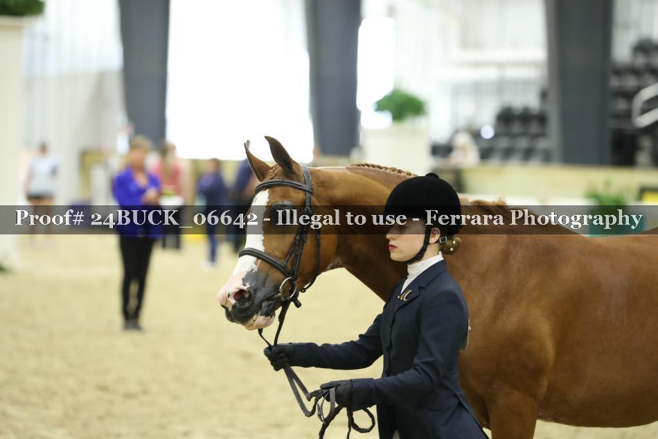 Proof Number 24BUCK_06642